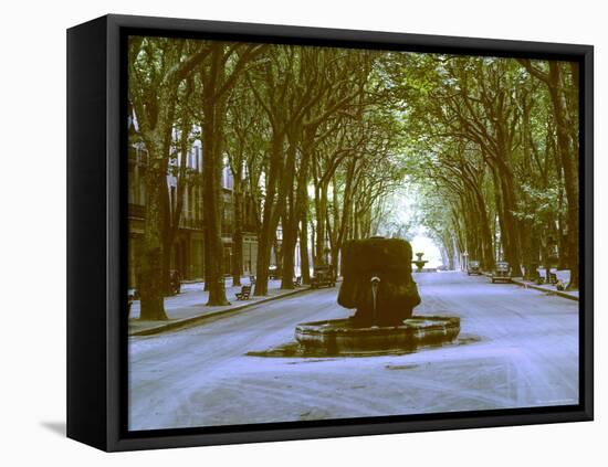 Plane Trees Shade Wide Boulevard of Cours Mirabeau in Aix En Provence-Gjon Mili-Framed Premier Image Canvas