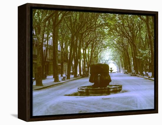 Plane Trees Shade Wide Boulevard of Cours Mirabeau in Aix En Provence-Gjon Mili-Framed Premier Image Canvas