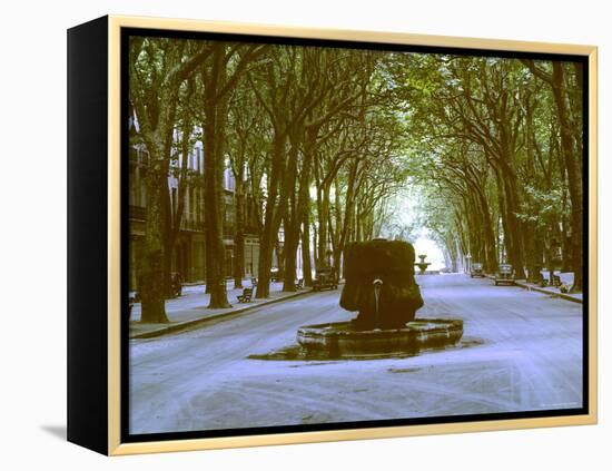 Plane Trees Shade Wide Boulevard of Cours Mirabeau in Aix En Provence-Gjon Mili-Framed Premier Image Canvas