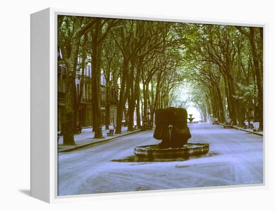 Plane Trees Shade Wide Boulevard of Cours Mirabeau in Aix En Provence-Gjon Mili-Framed Premier Image Canvas