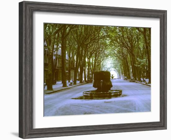 Plane Trees Shade Wide Boulevard of Cours Mirabeau in Aix En Provence-Gjon Mili-Framed Photographic Print