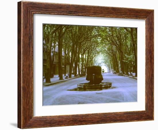 Plane Trees Shade Wide Boulevard of Cours Mirabeau in Aix En Provence-Gjon Mili-Framed Photographic Print