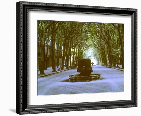 Plane Trees Shade Wide Boulevard of Cours Mirabeau in Aix En Provence-Gjon Mili-Framed Photographic Print