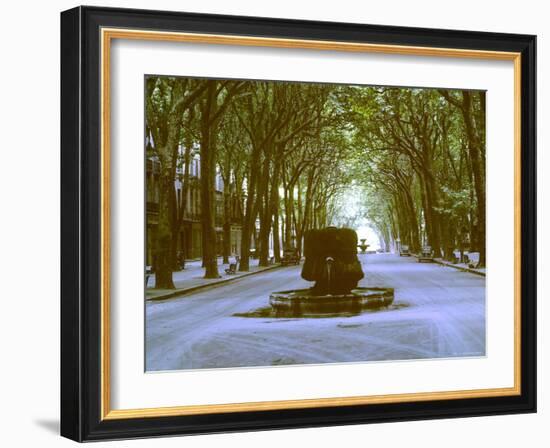 Plane Trees Shade Wide Boulevard of Cours Mirabeau in Aix En Provence-Gjon Mili-Framed Photographic Print