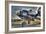 Plane-Robert Kaler-Framed Photographic Print