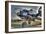 Plane-Robert Kaler-Framed Photographic Print