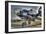 Plane-Robert Kaler-Framed Photographic Print