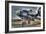 Plane-Robert Kaler-Framed Photographic Print