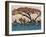 Planes of Africa III-Alonzo Saunders-Framed Art Print