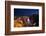 Planet Hollywood, Casinos and Hotels, the Strip, Las Vegas, Nevada-David Wall-Framed Photographic Print