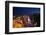 Planet Hollywood, Casinos and Hotels, the Strip, Las Vegas, Nevada-David Wall-Framed Photographic Print