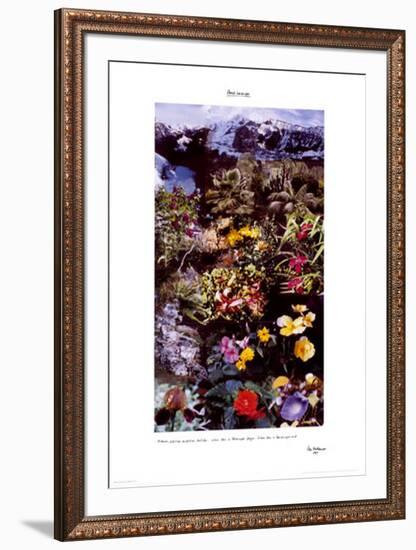 Planet Landscape-Peter Hutchinson-Framed Art Print