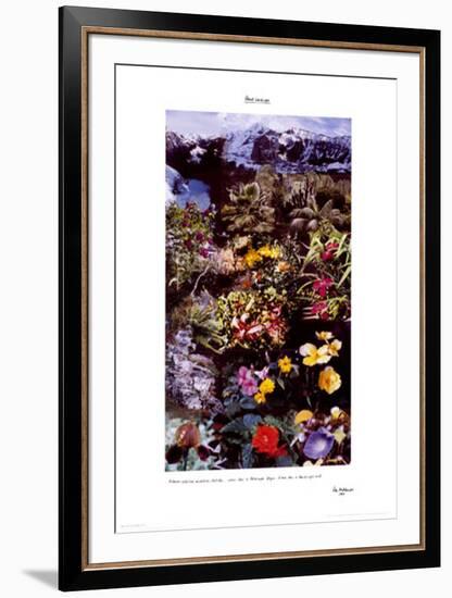 Planet Landscape-Peter Hutchinson-Framed Art Print