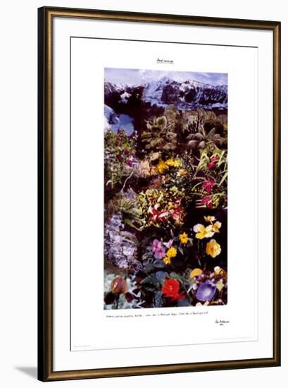 Planet Landscape-Peter Hutchinson-Framed Art Print