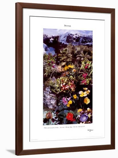 Planet Landscape-Peter Hutchinson-Framed Art Print