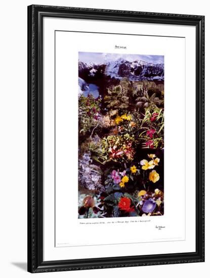 Planet Landscape-Peter Hutchinson-Framed Art Print