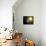 Planet Mercury, Artwork-null-Photographic Print displayed on a wall