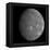 Planet Mercury-null-Framed Premier Image Canvas