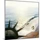 Premium Photographic Print