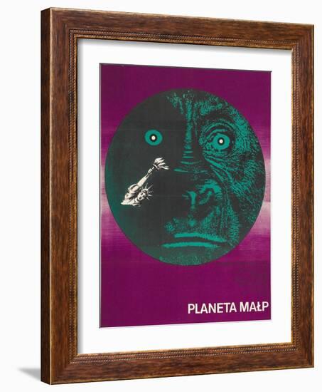 Planet of the Apes, Polish Movie Poster, 1968-null-Framed Art Print