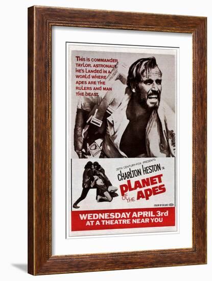 Planet of the Apes, Top: Charlton Heston, 1968-null-Framed Art Print