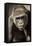 Planet of the Apes-Susann Parker-Framed Premier Image Canvas