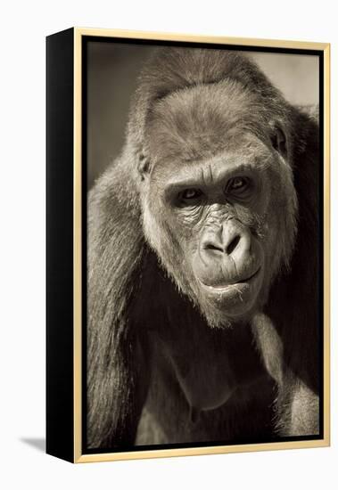 Planet of the Apes-Susann Parker-Framed Premier Image Canvas