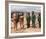 Planet of the Apes-null-Framed Photo