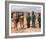 Planet of the Apes-null-Framed Photo