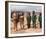 Planet of the Apes-null-Framed Photo