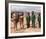 Planet of the Apes-null-Framed Photo