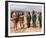 Planet of the Apes-null-Framed Photo