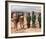 Planet of the Apes-null-Framed Photo