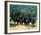 Planet of the Apes-null-Framed Photo