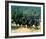 Planet of the Apes-null-Framed Photo