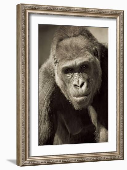 Planet of the Apes-Susann Parker-Framed Photographic Print