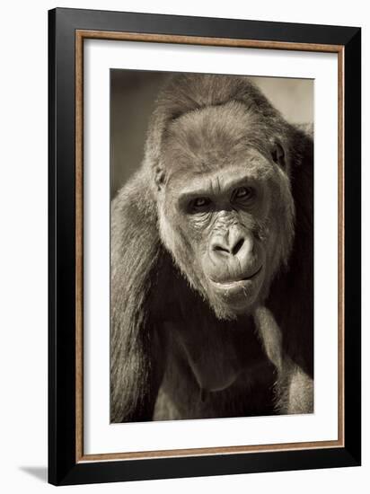 Planet of the Apes-Susann Parker-Framed Photographic Print