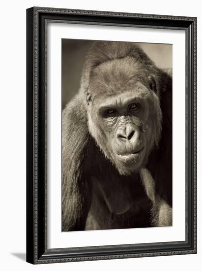 Planet of the Apes-Susann Parker-Framed Photographic Print