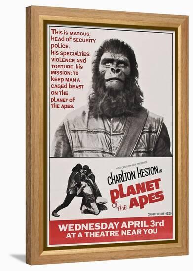 Planet of the Apes-null-Framed Stretched Canvas