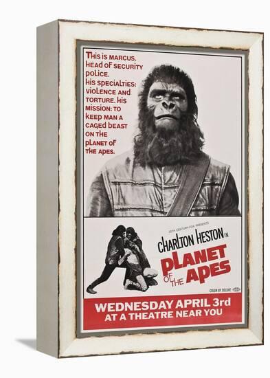 Planet of the Apes-null-Framed Stretched Canvas