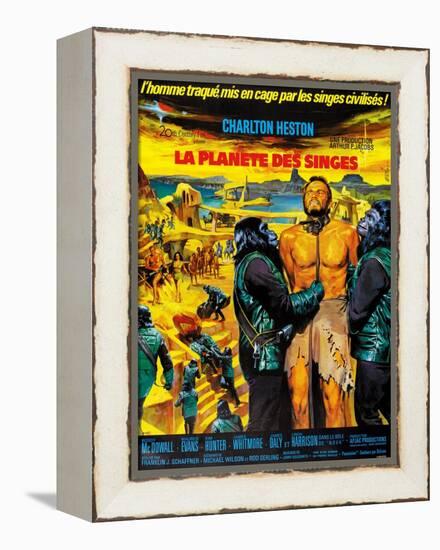 Planet of the Apes-null-Framed Stretched Canvas