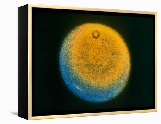 Planet Uranus, Taken by Voyager 2-null-Framed Premier Image Canvas