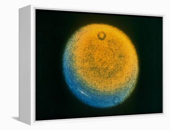 Planet Uranus, Taken by Voyager 2-null-Framed Premier Image Canvas