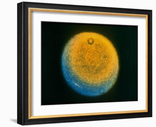 Planet Uranus, Taken by Voyager 2-null-Framed Photographic Print