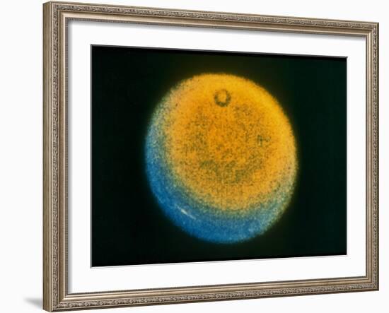 Planet Uranus, Taken by Voyager 2-null-Framed Photographic Print