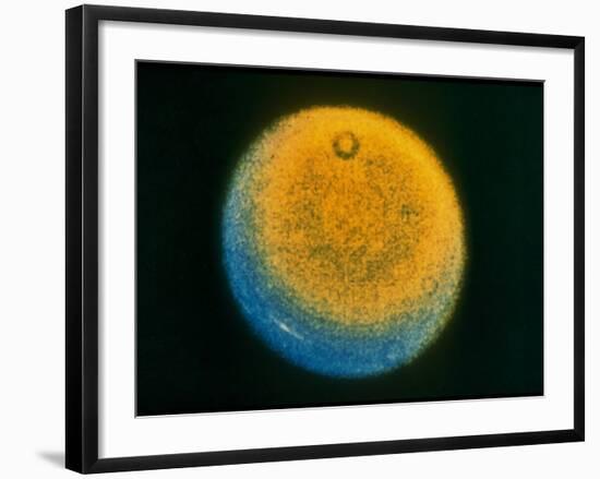 Planet Uranus, Taken by Voyager 2-null-Framed Photographic Print