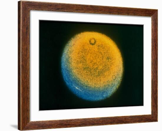 Planet Uranus, Taken by Voyager 2-null-Framed Photographic Print