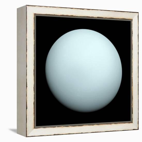 Planet Uranus-null-Framed Premier Image Canvas