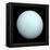 Planet Uranus-null-Framed Premier Image Canvas