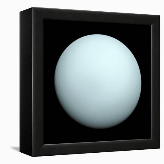 Planet Uranus-null-Framed Premier Image Canvas